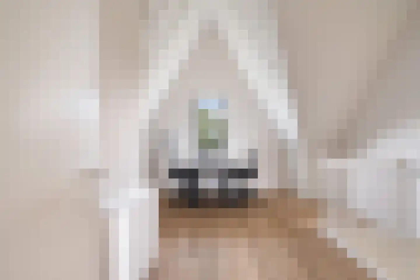 Rosmolen 29 Pijnacker thumbnail 35