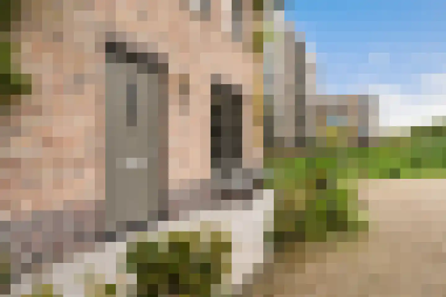 Rosmolen 29 Pijnacker thumbnail 45