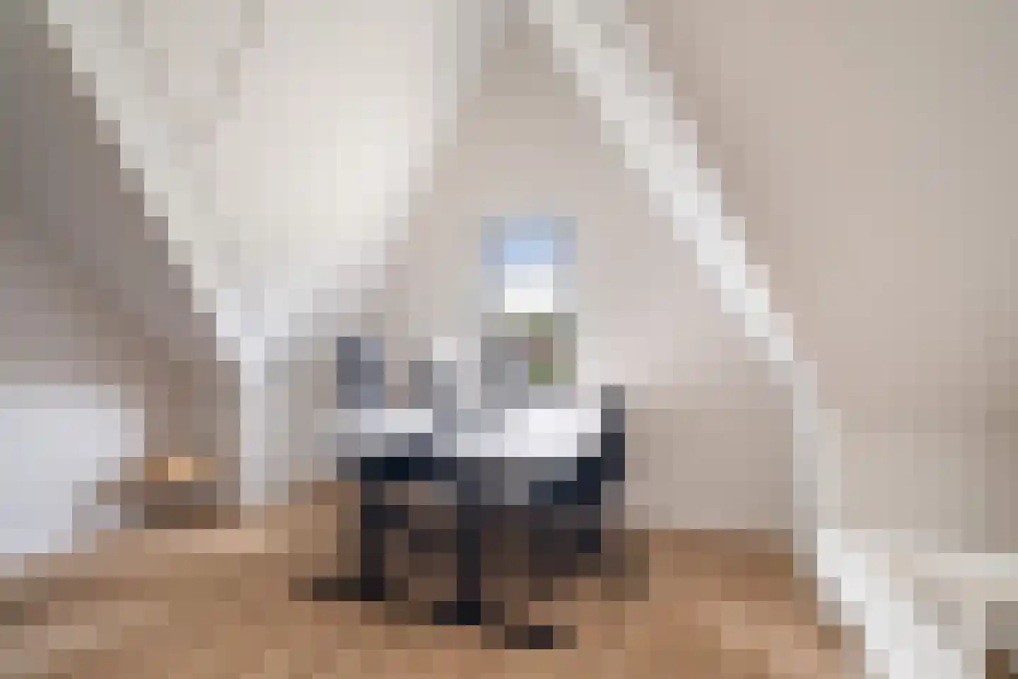 Rosmolen 29 Pijnacker thumbnail 8