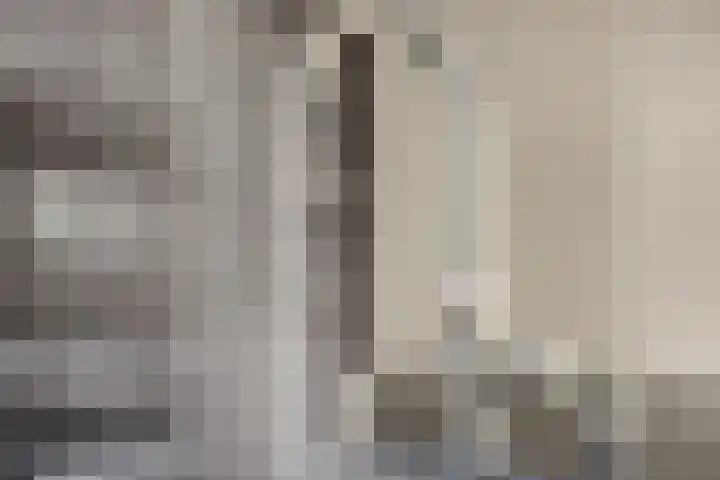 Rosmolen 3 A de Lutte thumbnail 11