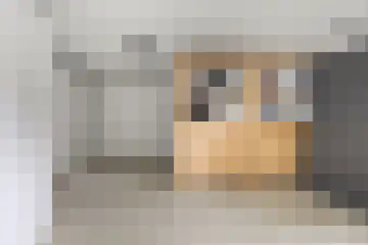 Rosmolen 3 A de Lutte thumbnail 12
