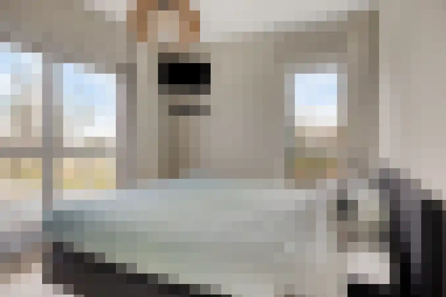 Rosmolen 3 A de Lutte thumbnail 15