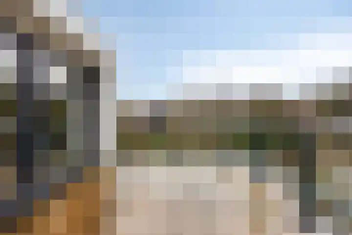 Rosmolen 3 A de Lutte thumbnail 23