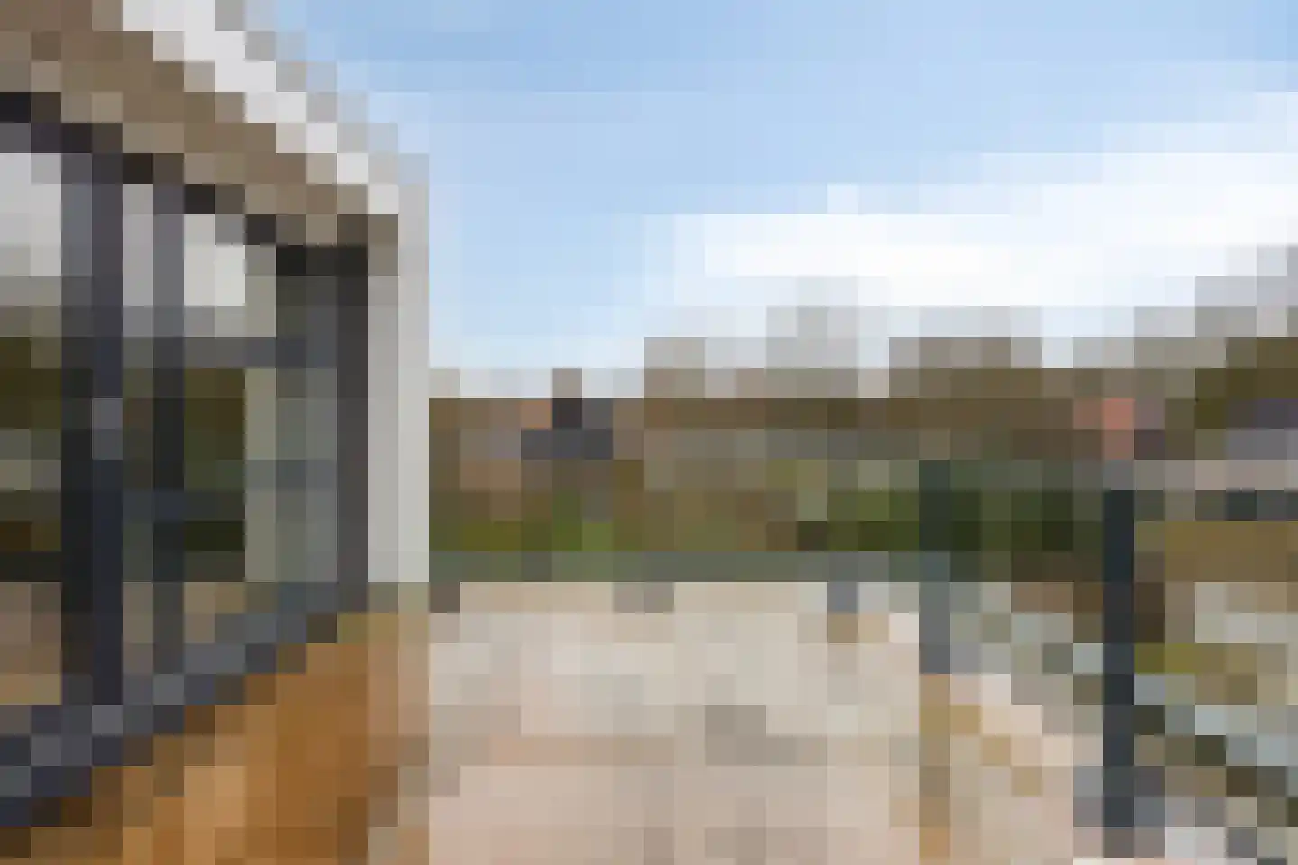 Rosmolen 3 A de Lutte thumbnail 23