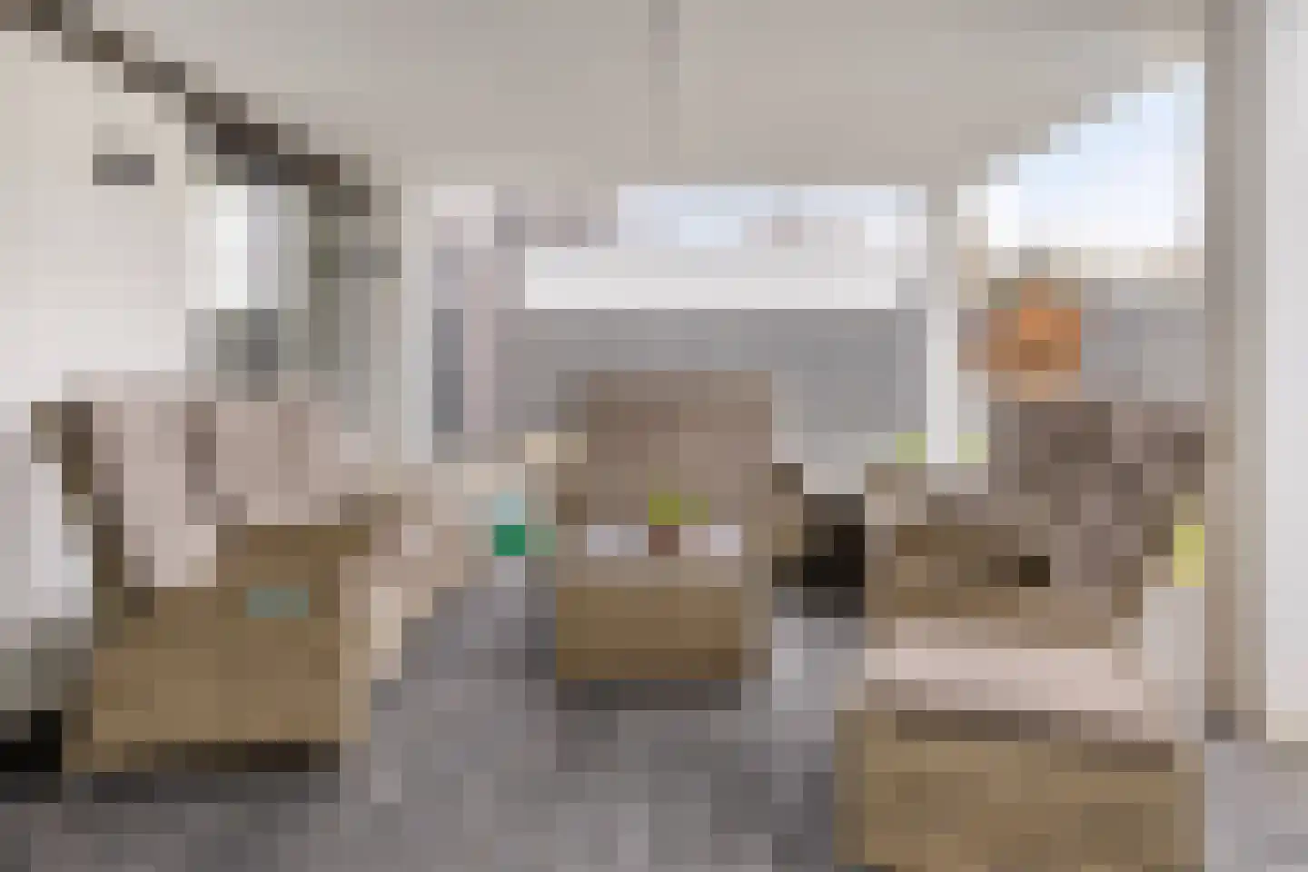 Rosmolen 3 A de Lutte thumbnail 25