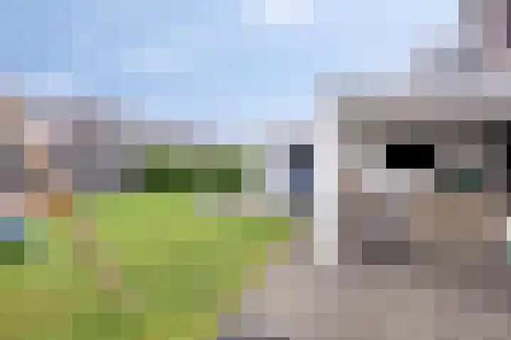 Rosmolen 3 A de Lutte thumbnail 26