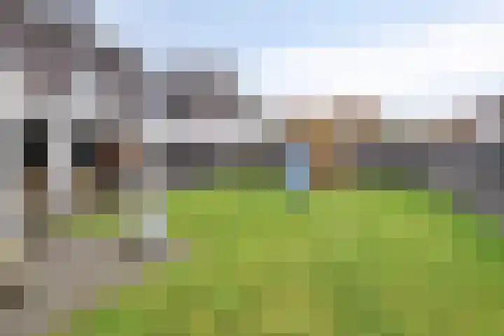 Rosmolen 3 A de Lutte thumbnail 27
