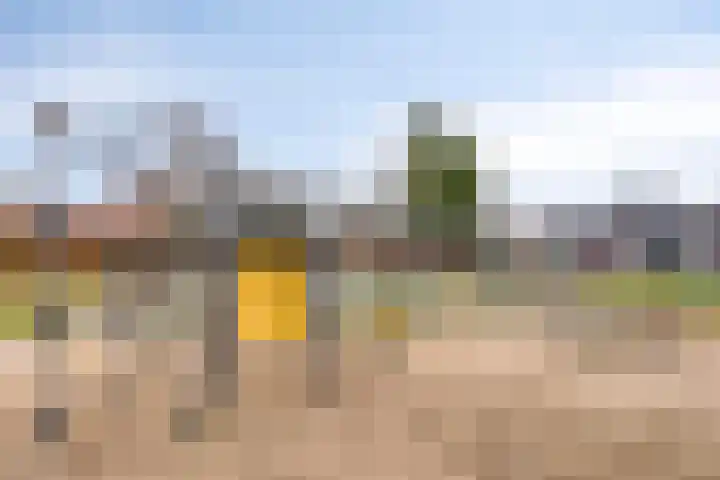 Rosmolen 3 A de Lutte thumbnail 30