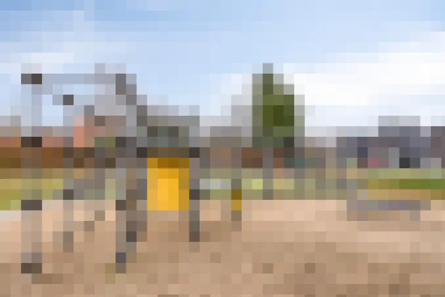 Rosmolen 3 A de Lutte thumbnail 30