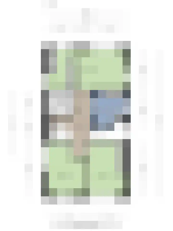 Rosmolen 3 A de Lutte thumbnail 32