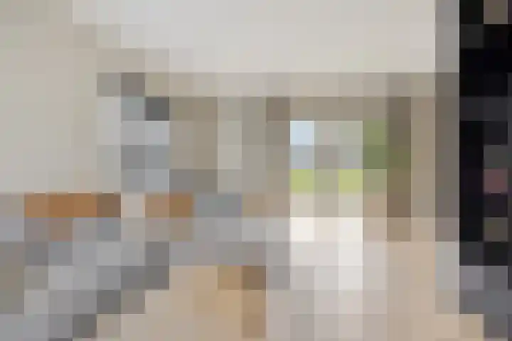 Rosmolen 3 A de Lutte thumbnail 4