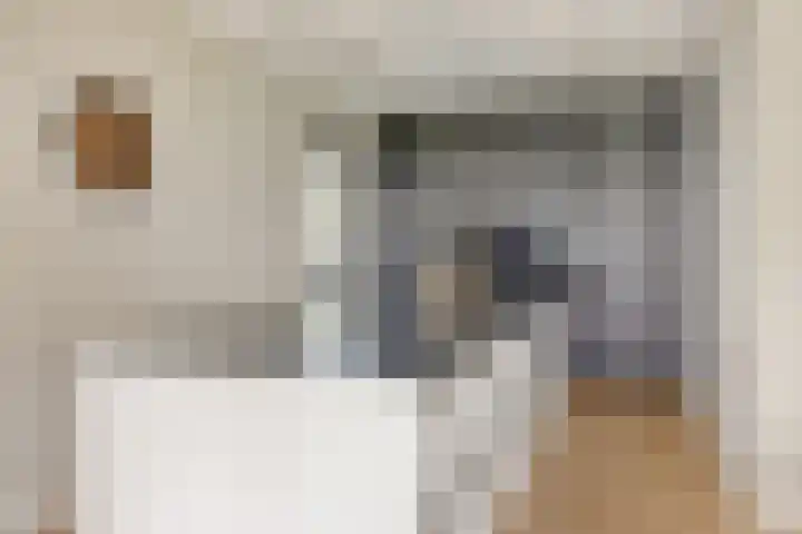 Rosmolen 3 A de Lutte thumbnail 8
