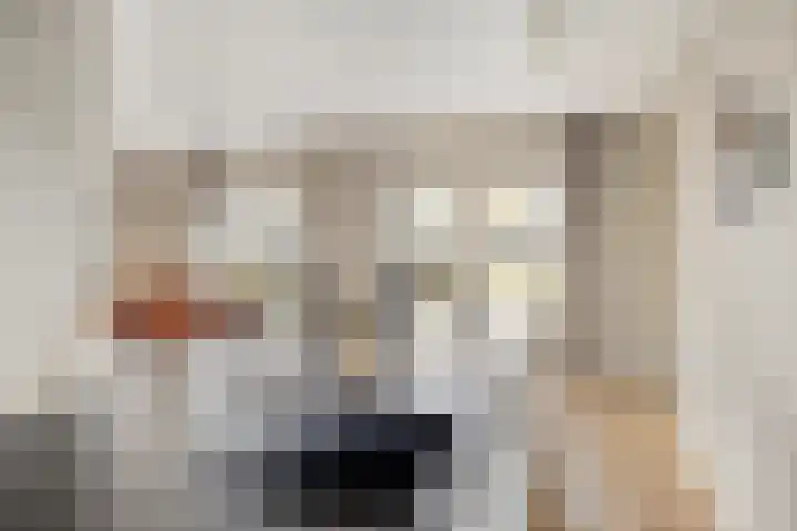 Rosmolen 3 A de Lutte thumbnail 9