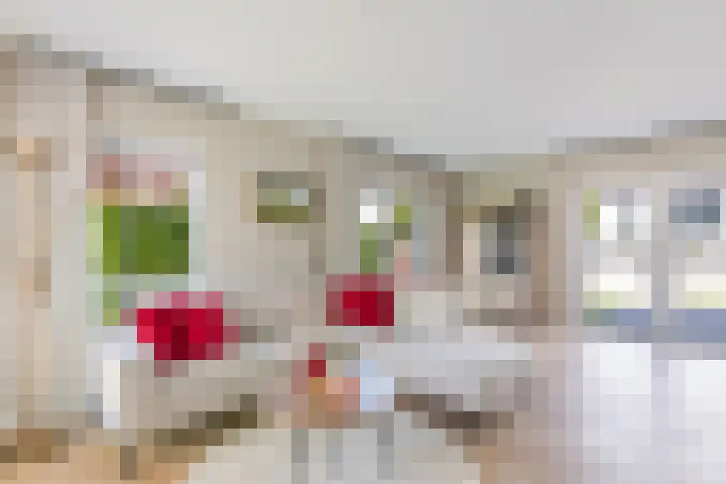 Rosmolen 3 de Lutte foto 2