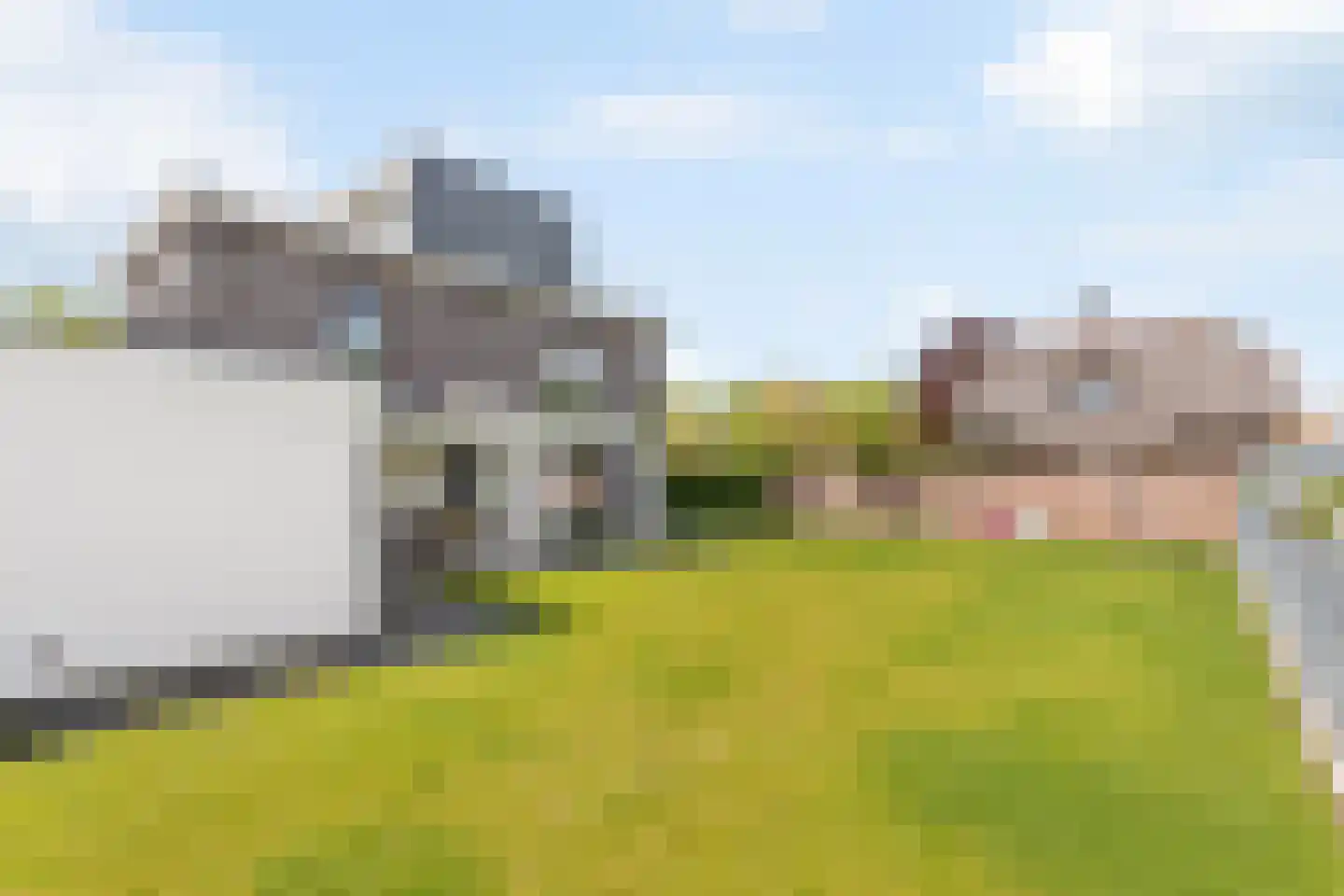 Rosmolen 3 de Lutte thumbnail 20