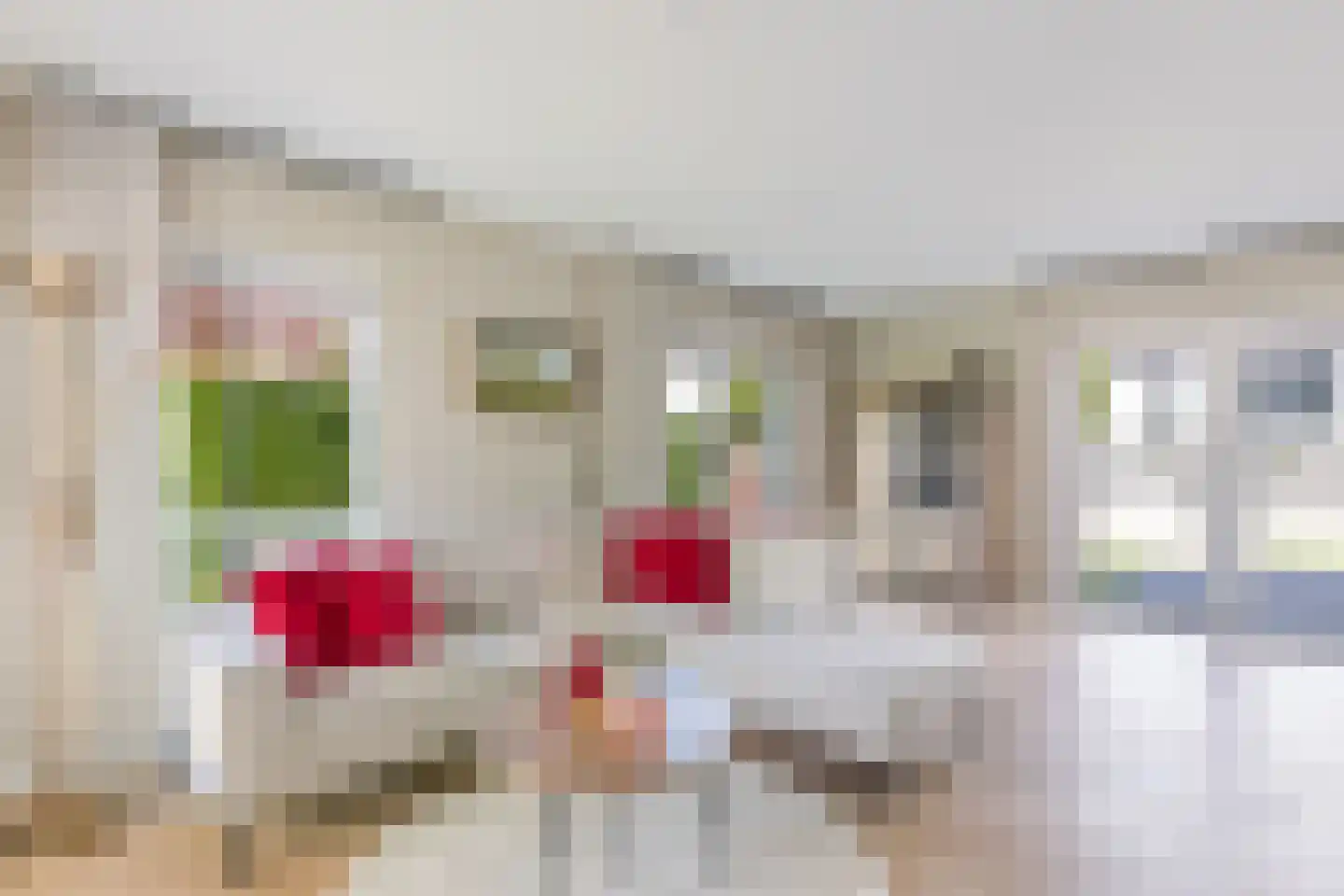 Rosmolen 3 de Lutte thumbnail 6