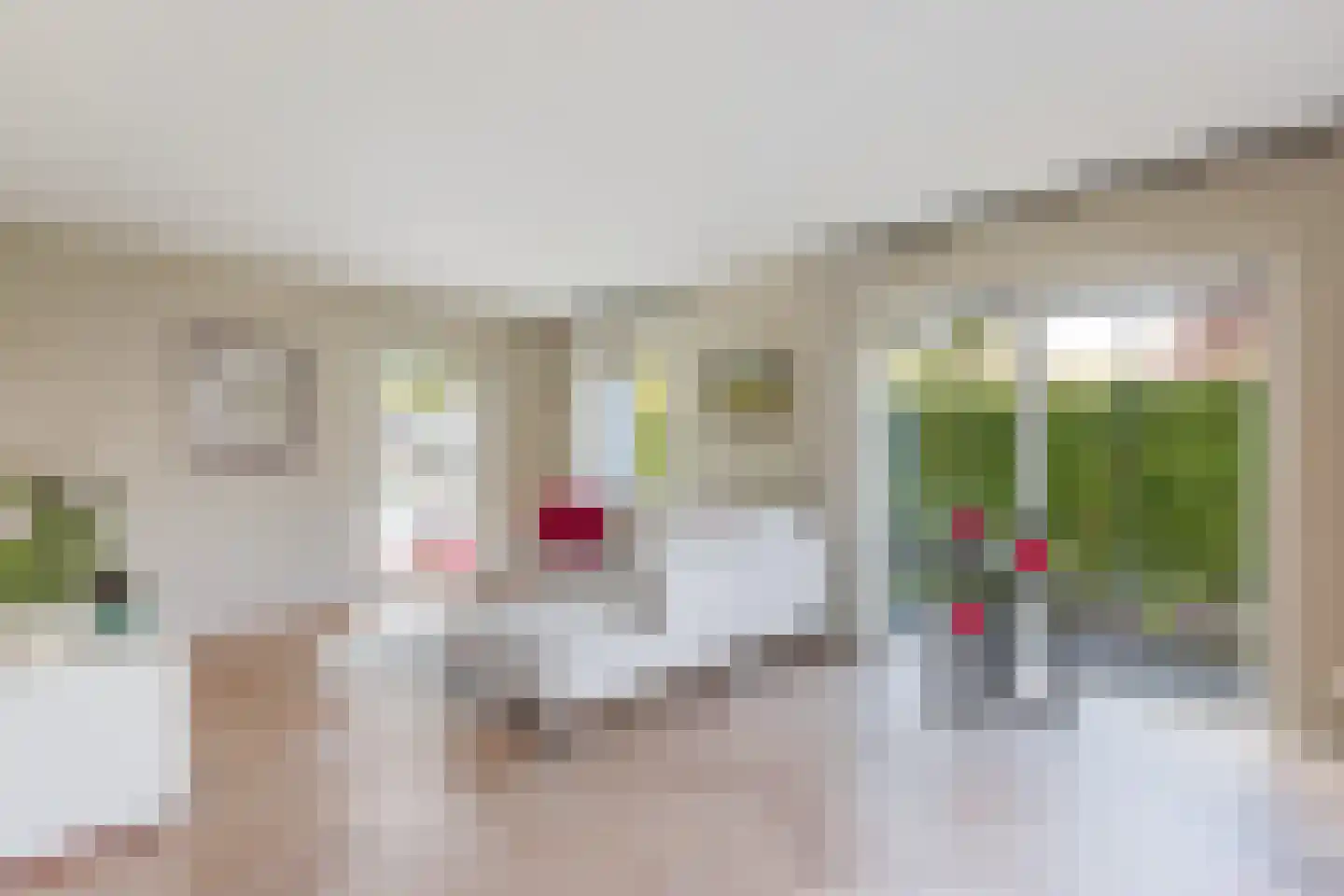 Rosmolen 3 de Lutte thumbnail 7