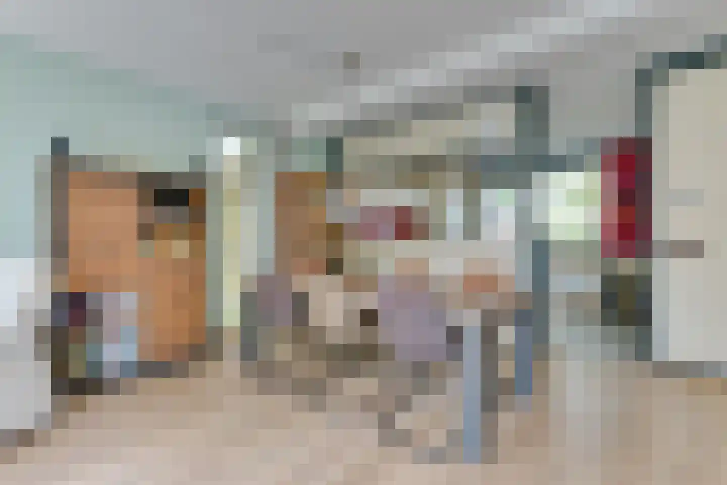 Rosmolen 3 Noord-Scharwoude thumbnail 17