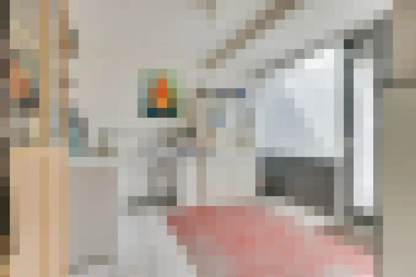 Rosmolen 3 Noord-Scharwoude thumbnail 23