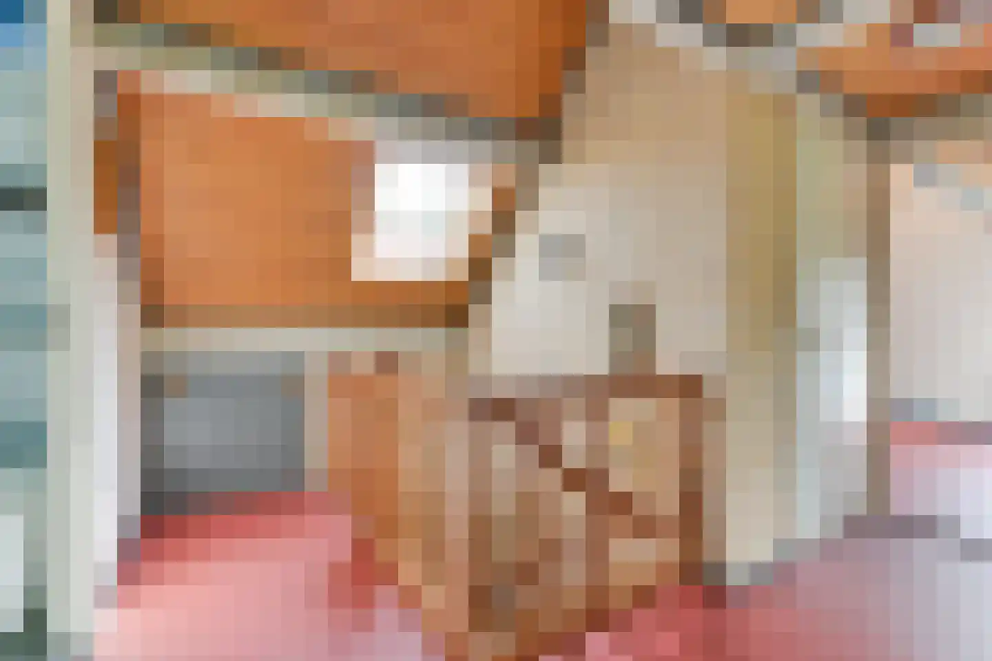 Rosmolen 3 Noord-Scharwoude thumbnail 29