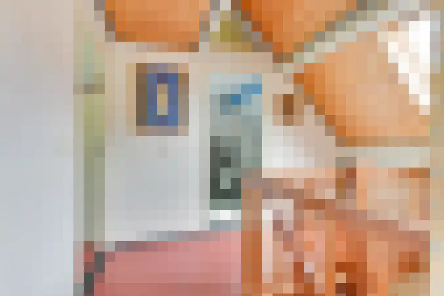 Rosmolen 3 Noord-Scharwoude thumbnail 30