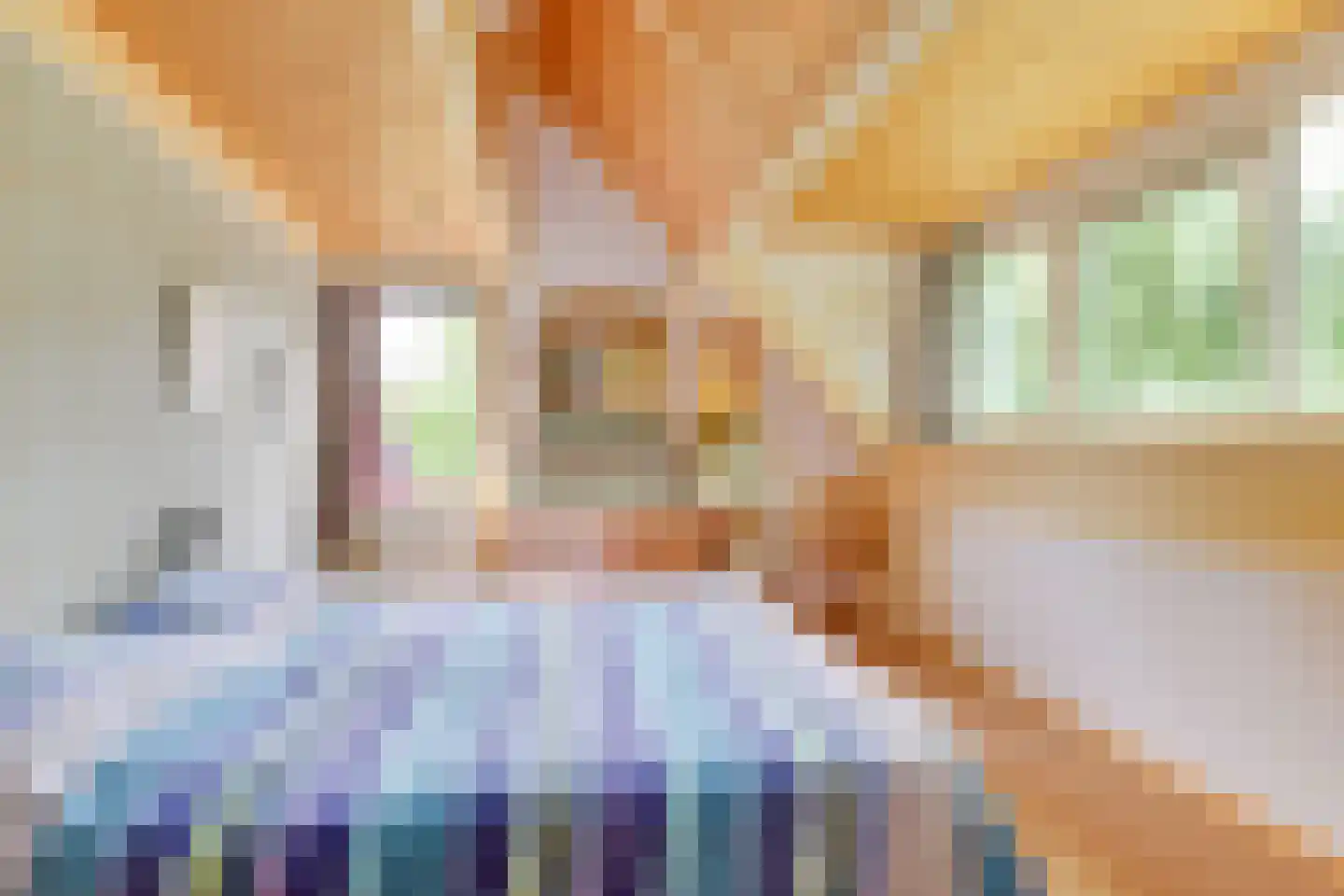 Rosmolen 3 Noord-Scharwoude thumbnail 37