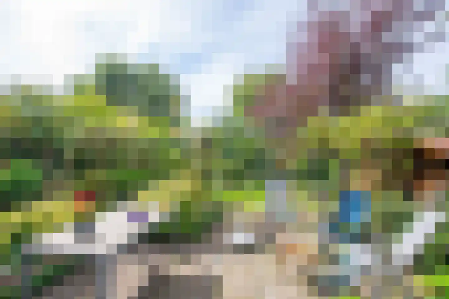 Rosmolen 3 Noord-Scharwoude thumbnail 41