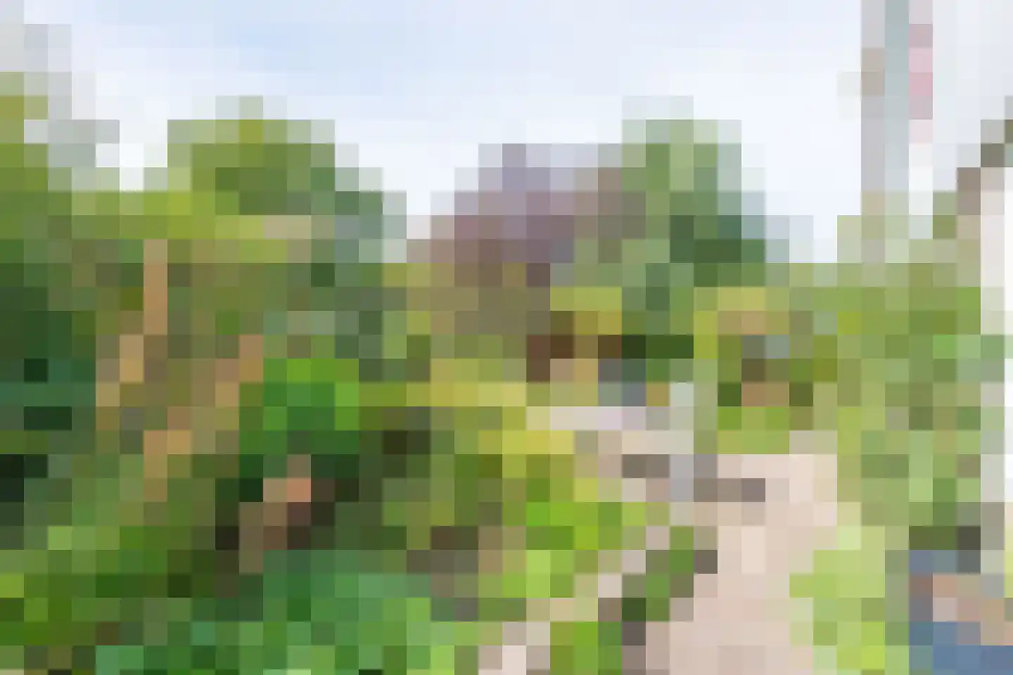 Rosmolen 3 Noord-Scharwoude thumbnail 42