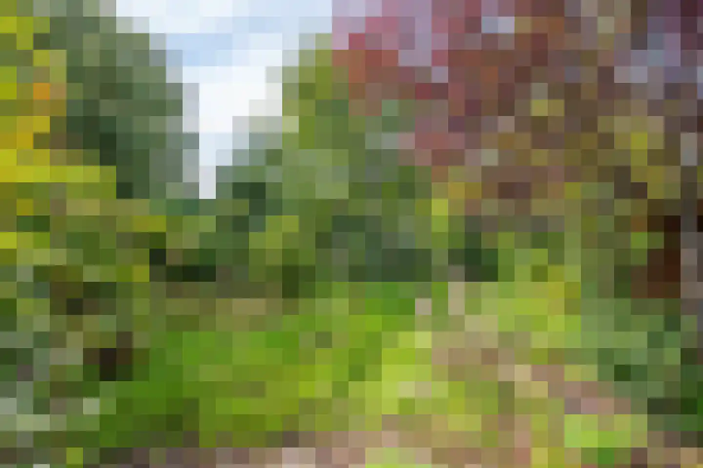 Rosmolen 3 Noord-Scharwoude thumbnail 43