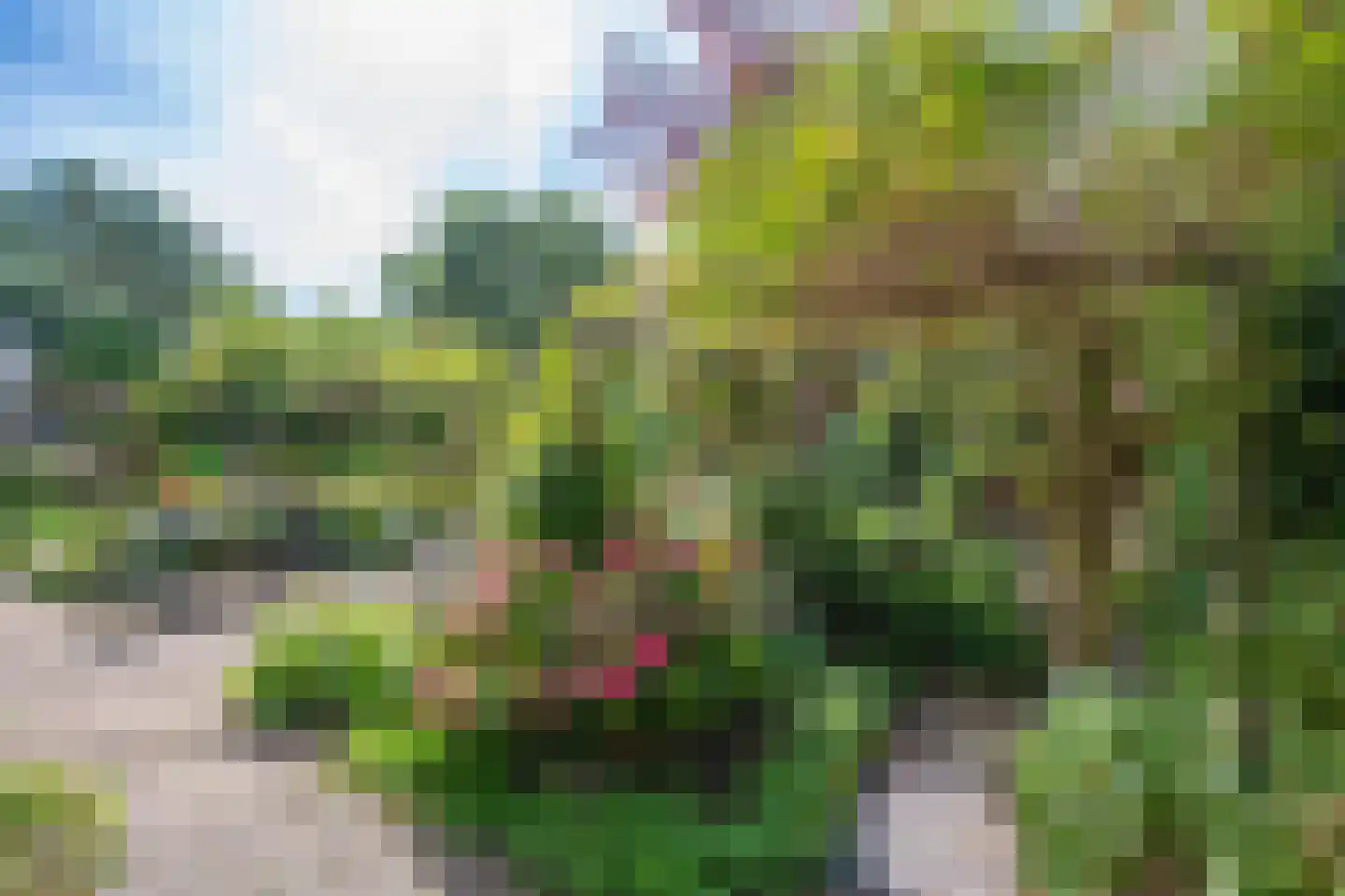 Rosmolen 3 Noord-Scharwoude thumbnail 44
