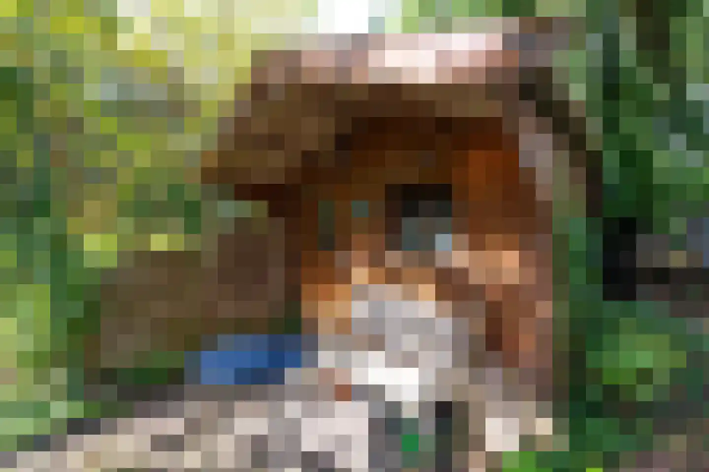 Rosmolen 3 Noord-Scharwoude thumbnail 45