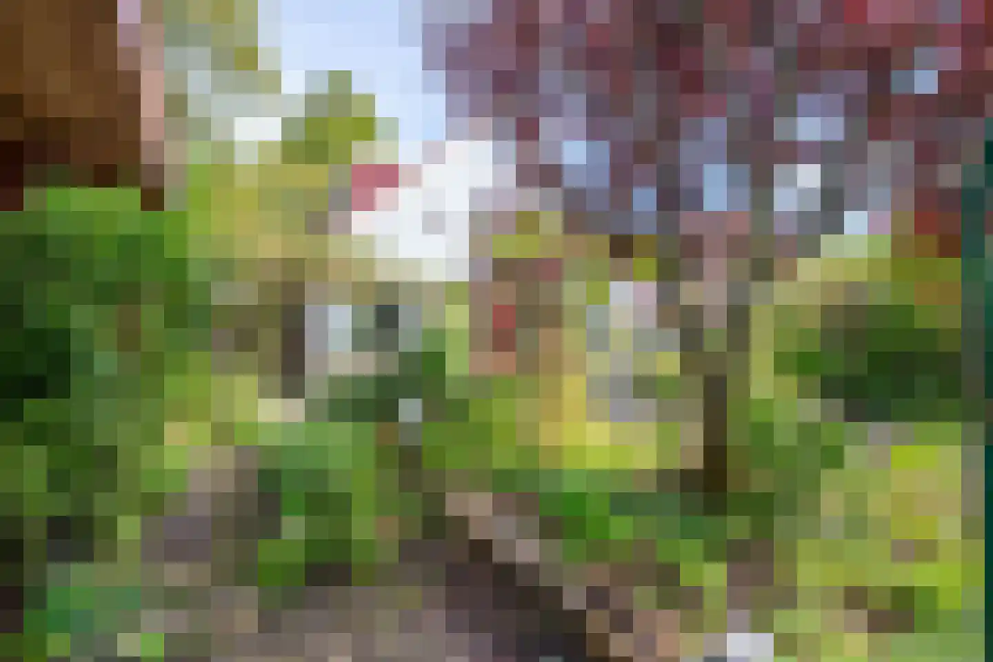 Rosmolen 3 Noord-Scharwoude thumbnail 46