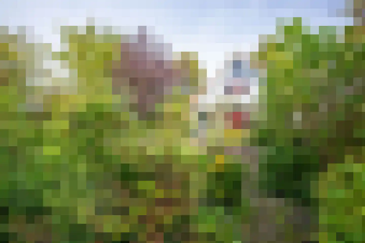 Rosmolen 3 Noord-Scharwoude thumbnail 47