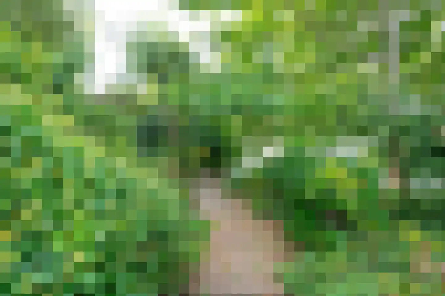 Rosmolen 3 Noord-Scharwoude thumbnail 48