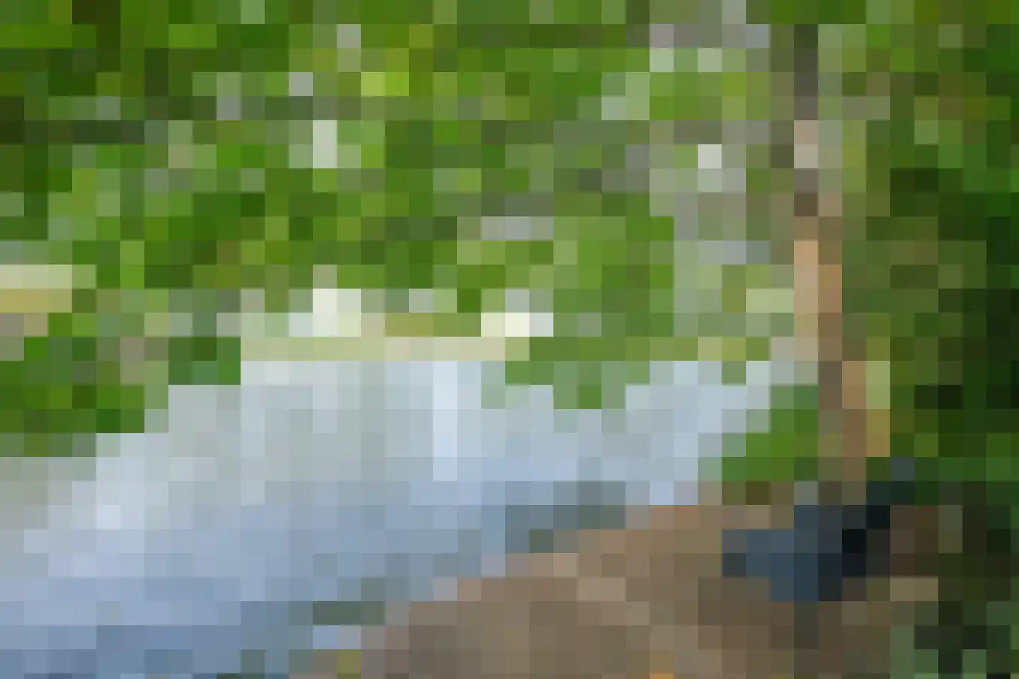 Rosmolen 3 Noord-Scharwoude thumbnail 49
