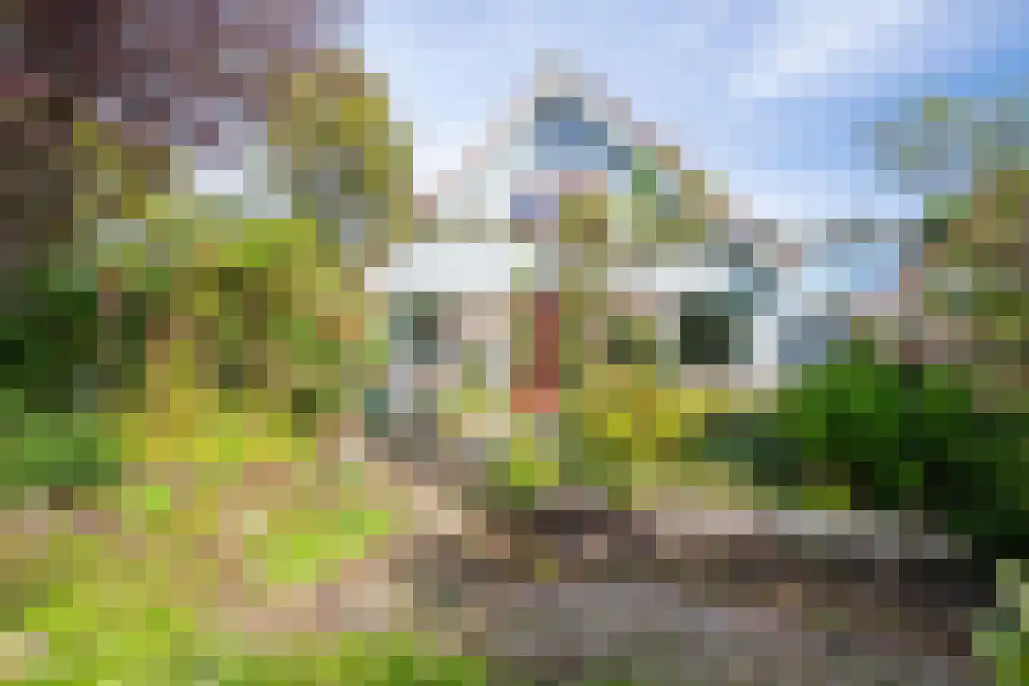 Rosmolen 3 Noord-Scharwoude thumbnail 50