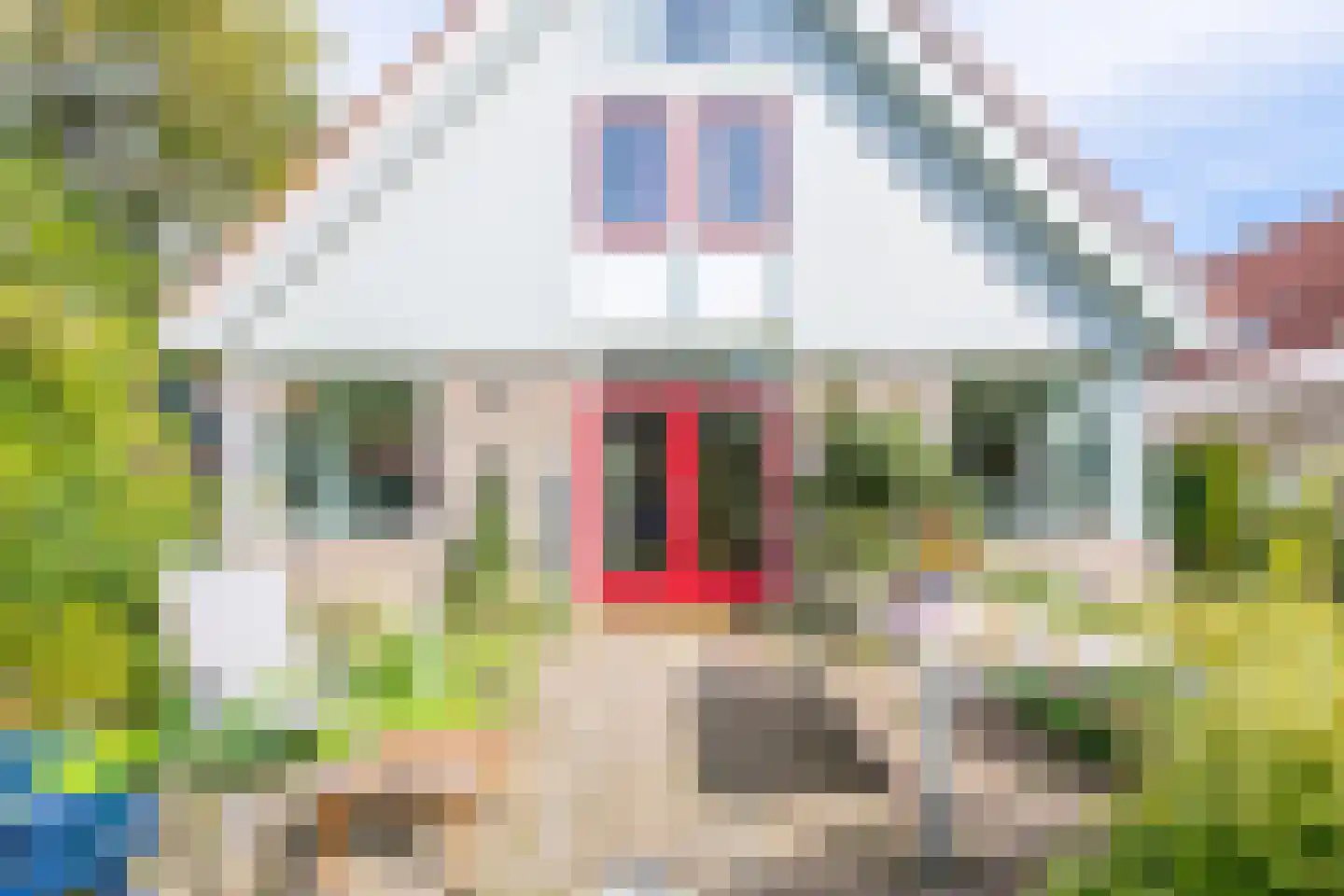Rosmolen 3 Noord-Scharwoude thumbnail 51