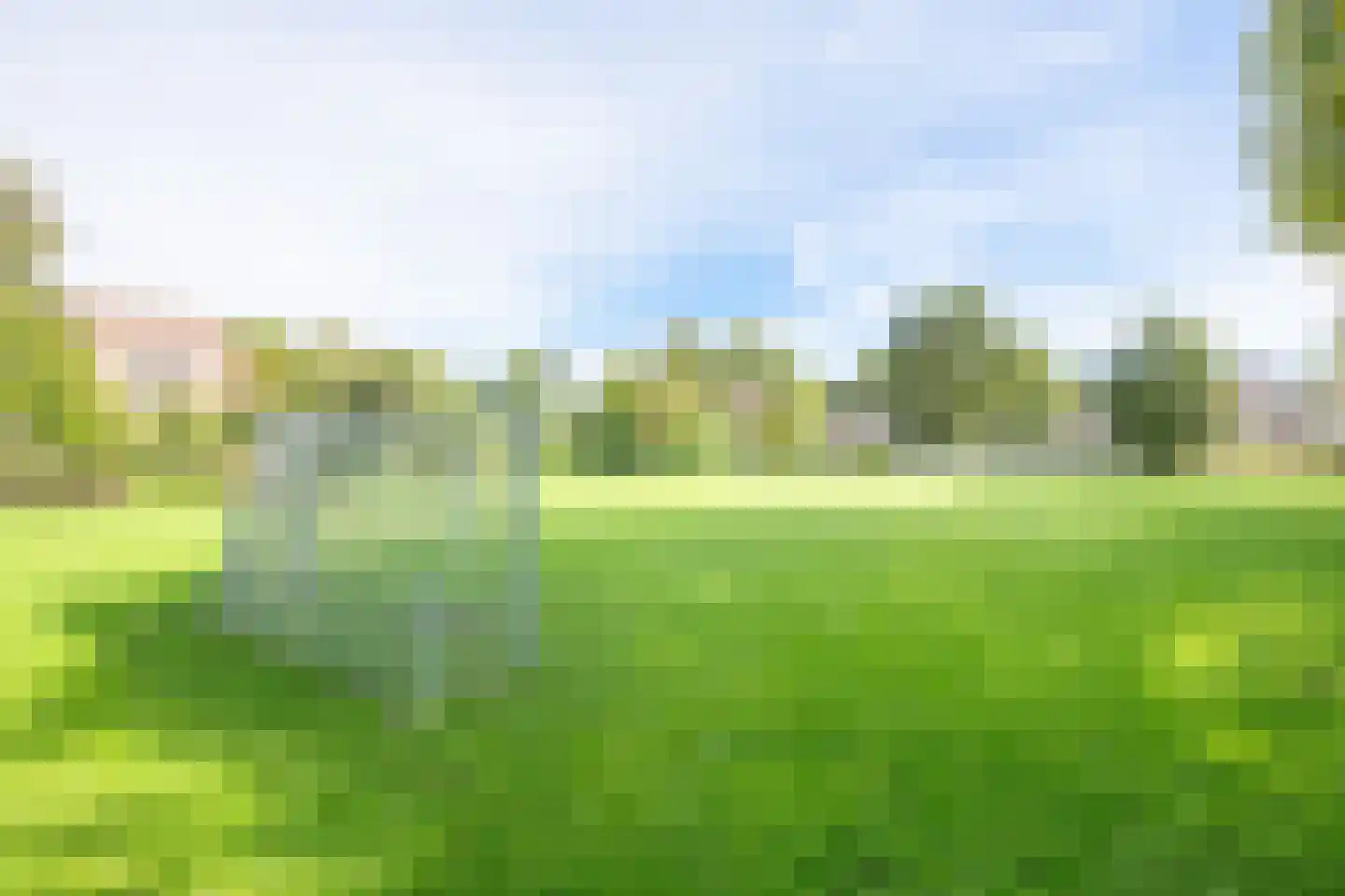 Rosmolen 3 Noord-Scharwoude thumbnail 58