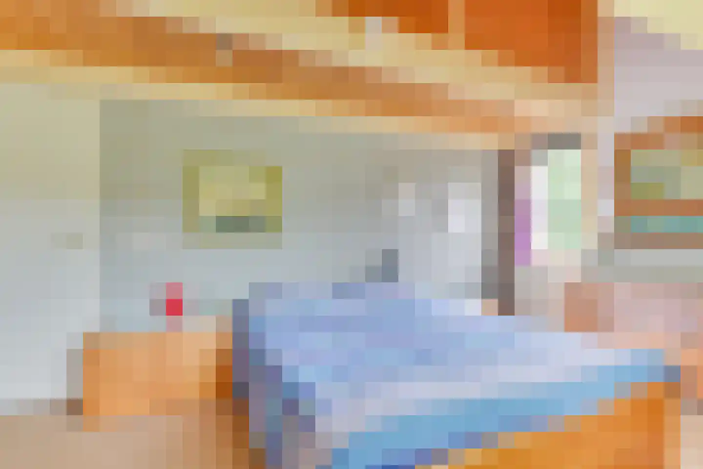 Rosmolen 3 Noord-Scharwoude thumbnail 6