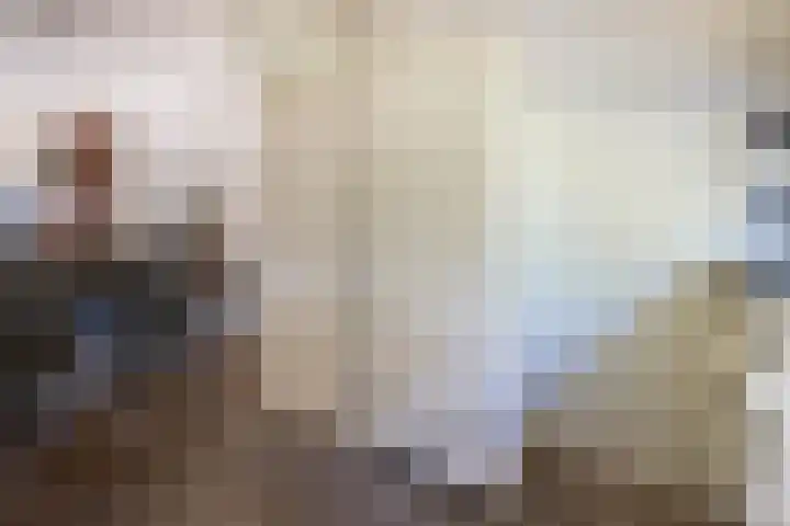 Rosmolen 4 Alphen aan den Rijn thumbnail 10
