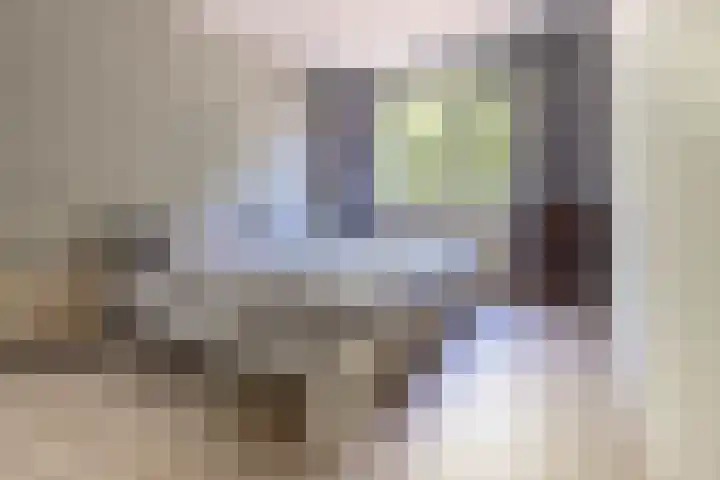 Rosmolen 4 Alphen aan den Rijn thumbnail 13