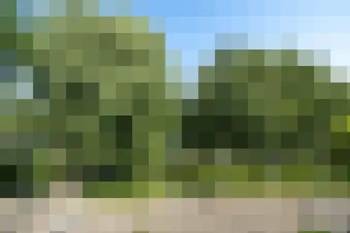 Rosmolen 4 Alphen aan den Rijn thumbnail 15