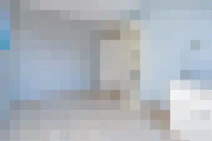 Rosmolen 4 Alphen aan den Rijn thumbnail 17