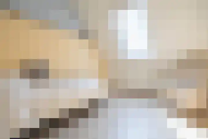 Rosmolen 4 Alphen aan den Rijn thumbnail 18