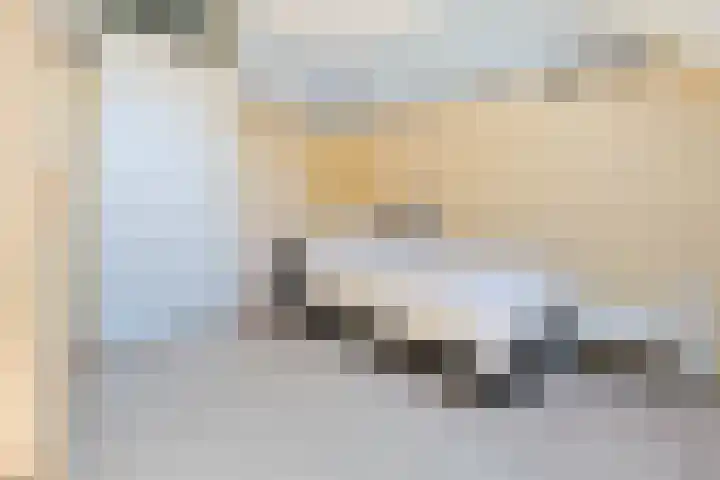 Rosmolen 4 Alphen aan den Rijn thumbnail 19