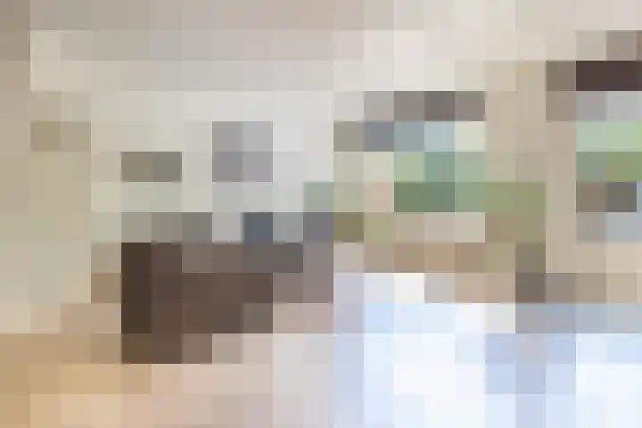 Rosmolen 4 Alphen aan den Rijn foto 2