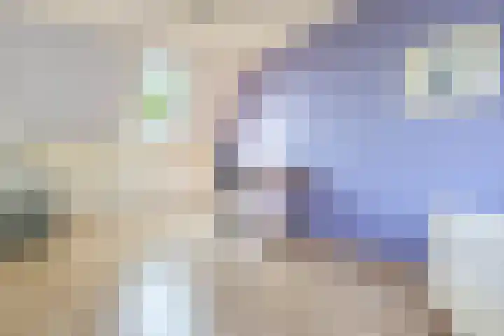 Rosmolen 4 Alphen aan den Rijn thumbnail 21