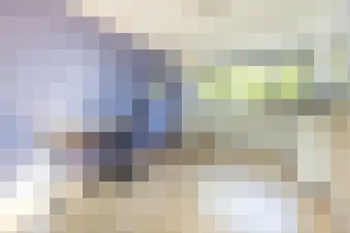 Rosmolen 4 Alphen aan den Rijn thumbnail 22