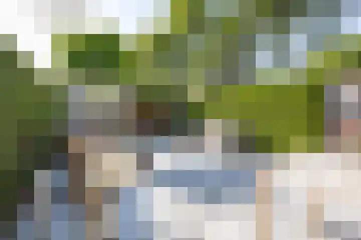 Rosmolen 4 Alphen aan den Rijn thumbnail 25