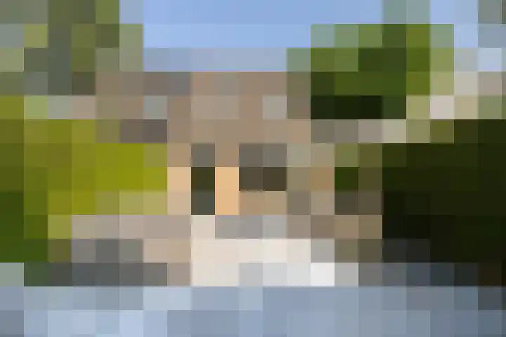 Rosmolen 4 Alphen aan den Rijn thumbnail 27